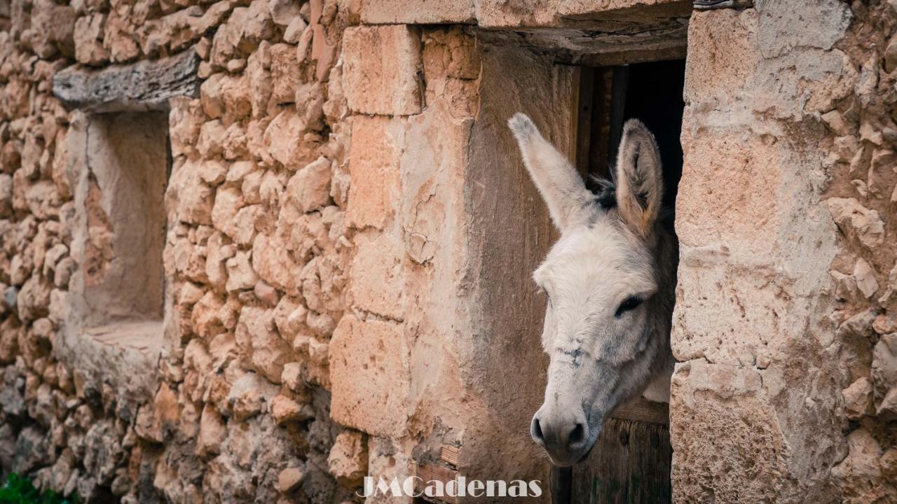 Casa La Nuri Konuk evi Utande Dış mekan fotoğraf