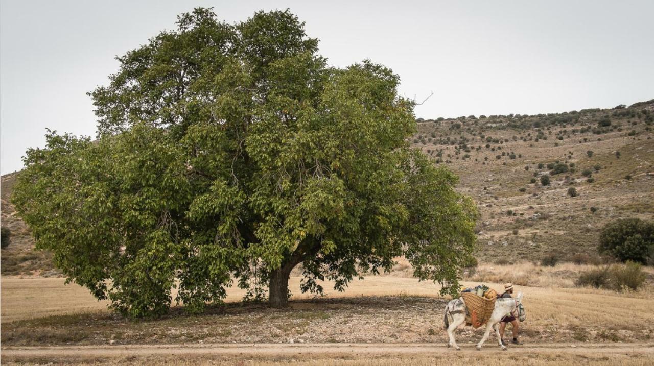Casa La Nuri Konuk evi Utande Dış mekan fotoğraf